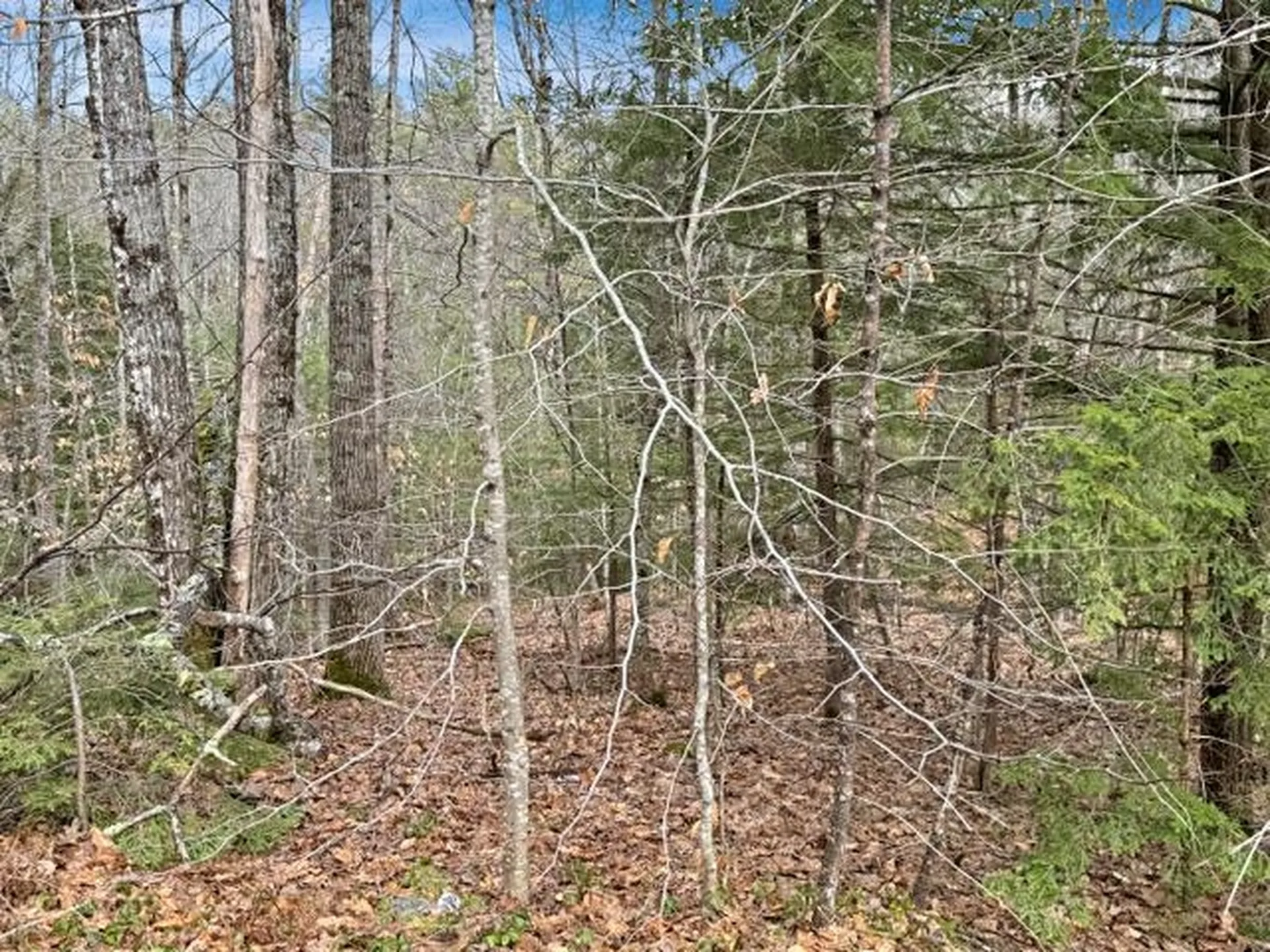 78 Hopper Road Milton NH 03851