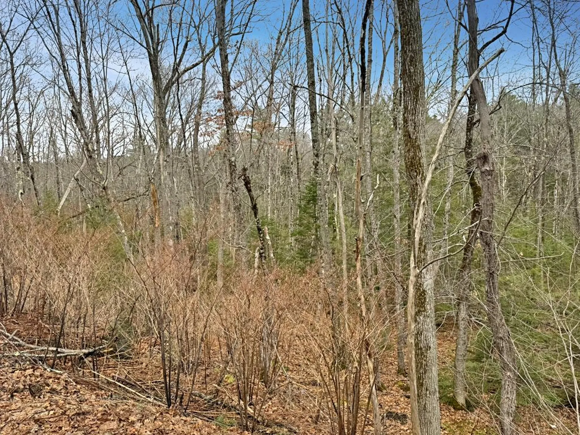 78 Hopper Road Milton NH 03851