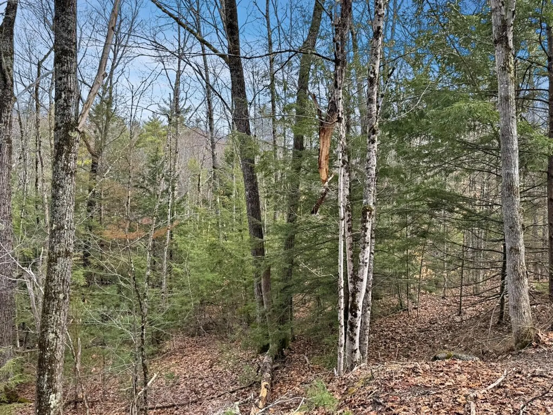 78 Hopper Road Milton NH 03851