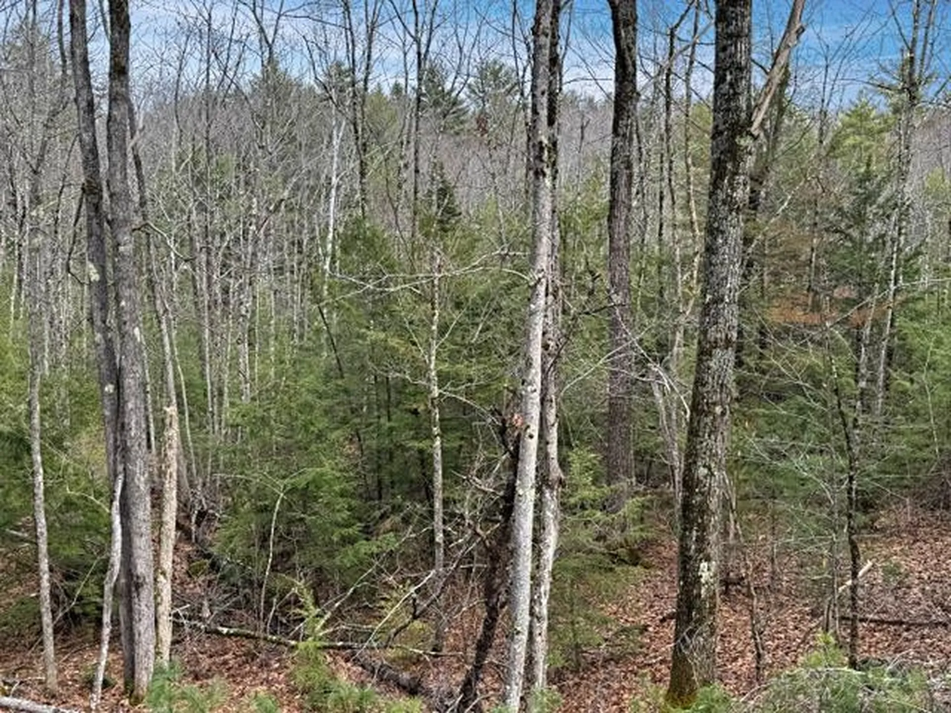 78 Hopper Road Milton NH 03851
