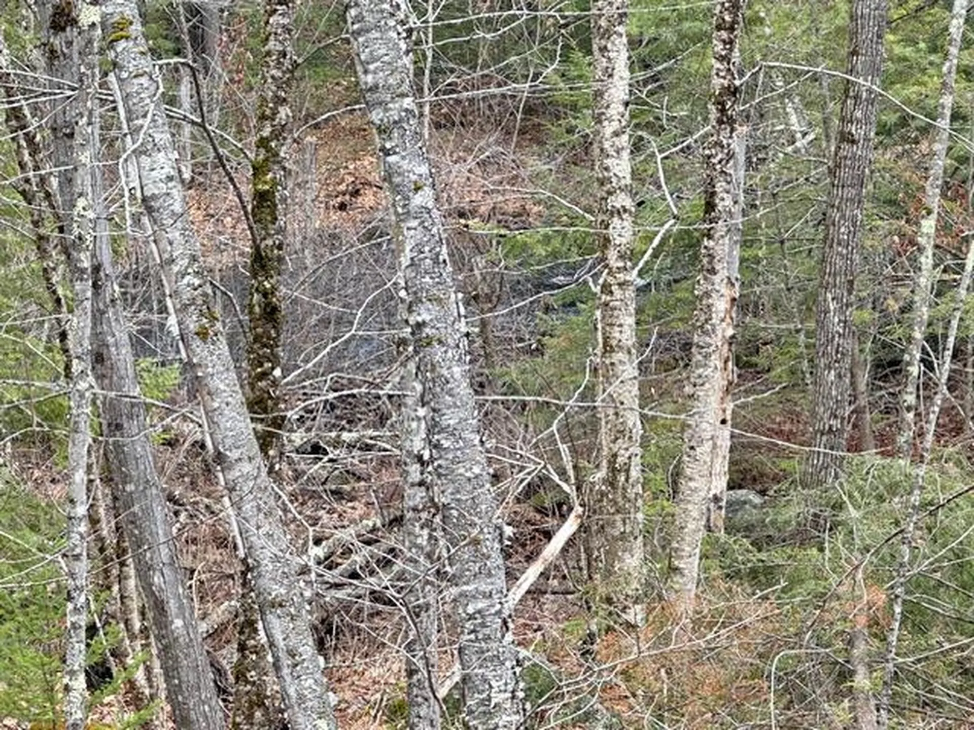 78 Hopper Road Milton NH 03851
