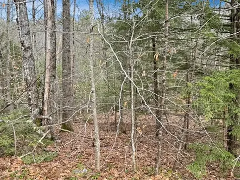 78 Hopper Road Milton NH 03851