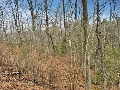 78 Hopper Road Milton NH 03851