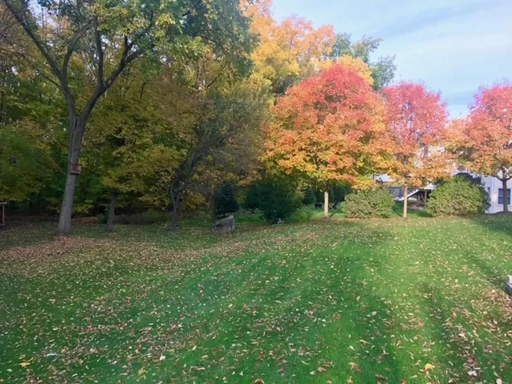 113 Allen Drive Milton VT 05468