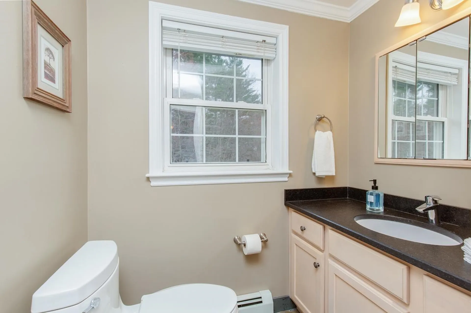 14 Ganley Drive Salem NH 03079