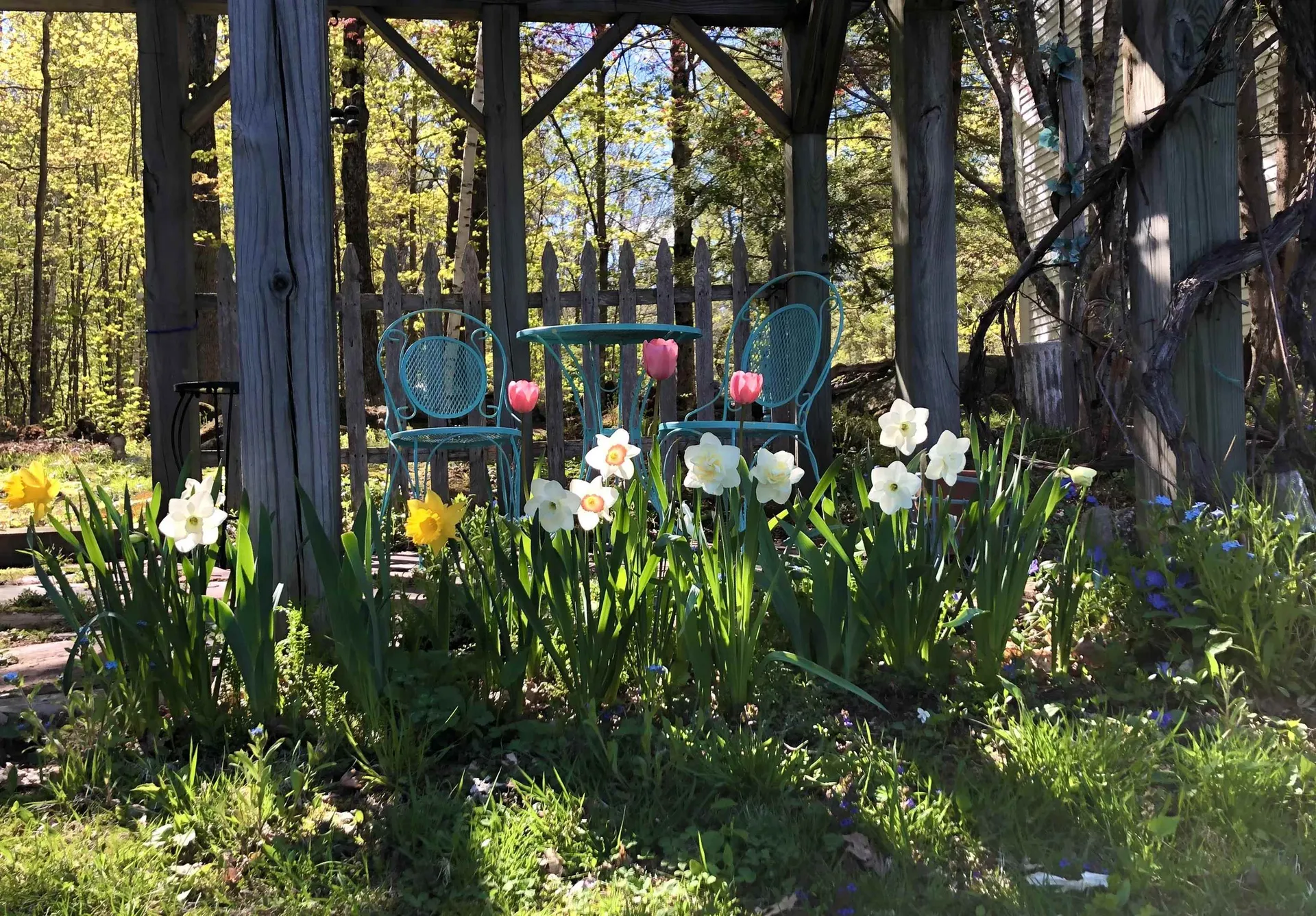 2381 East Washington Road Washington NH 03280