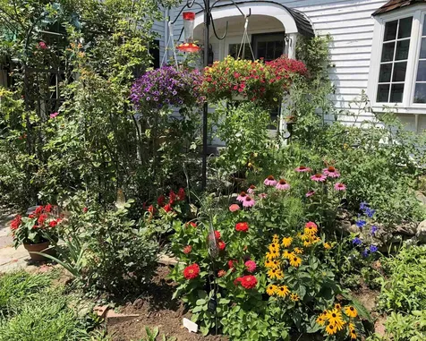2381 East Washington Road Washington NH 03280