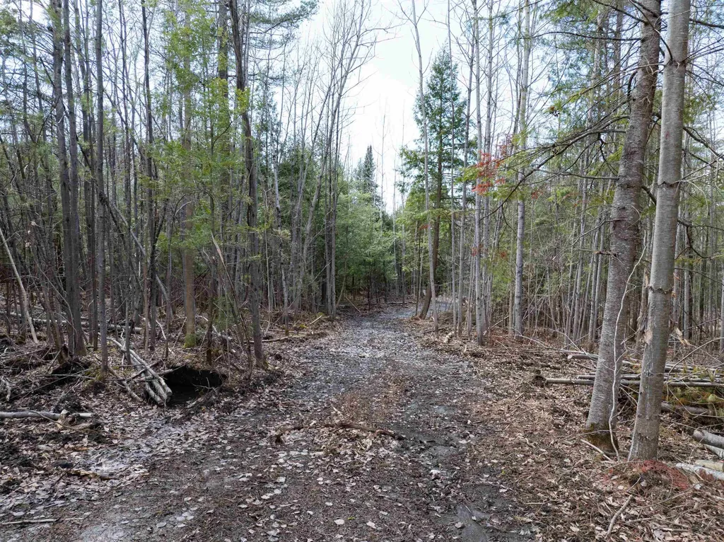 00 Middle Road Barre Town VT 05654