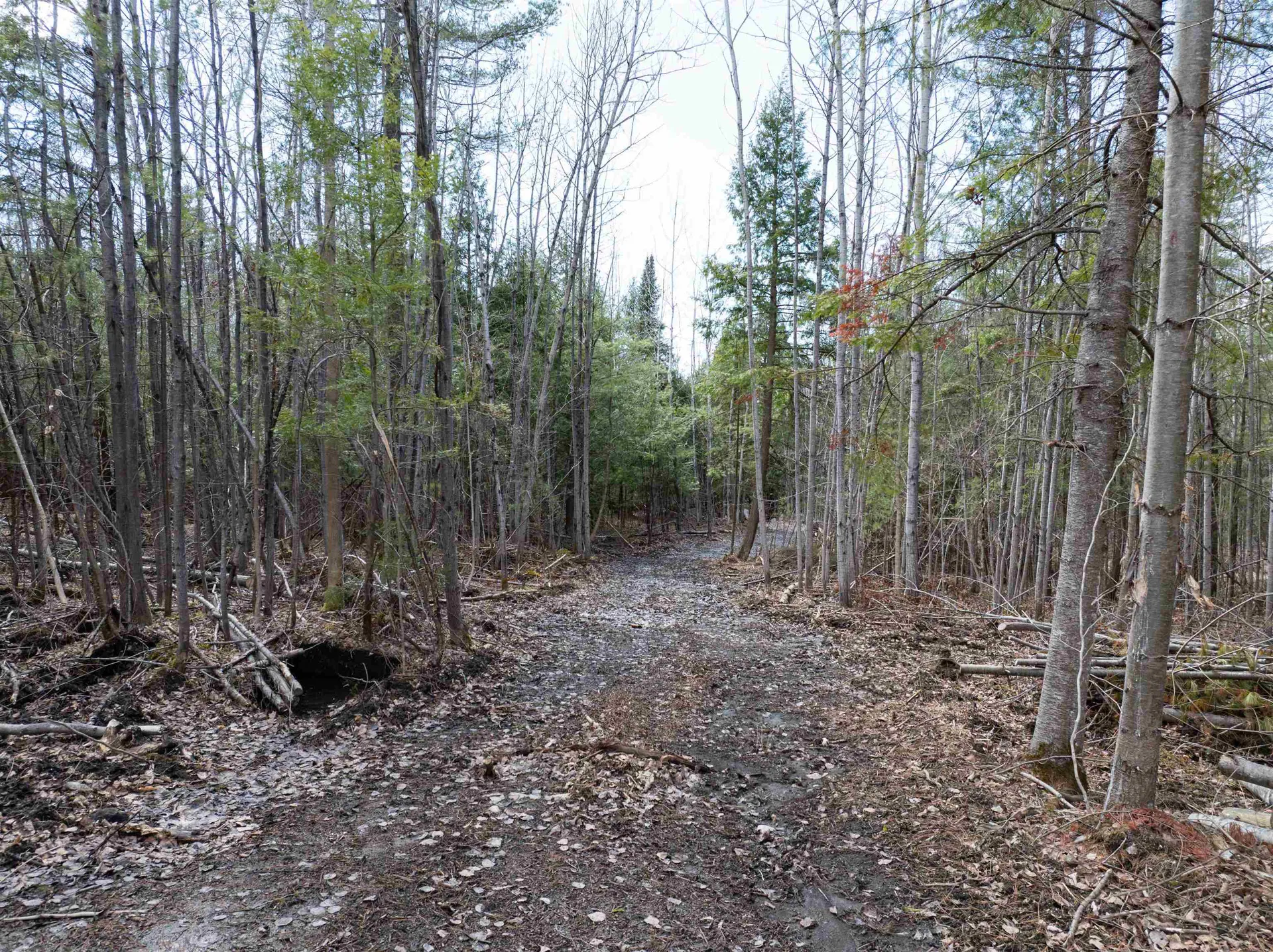00 Middle Road Barre Town VT 05654