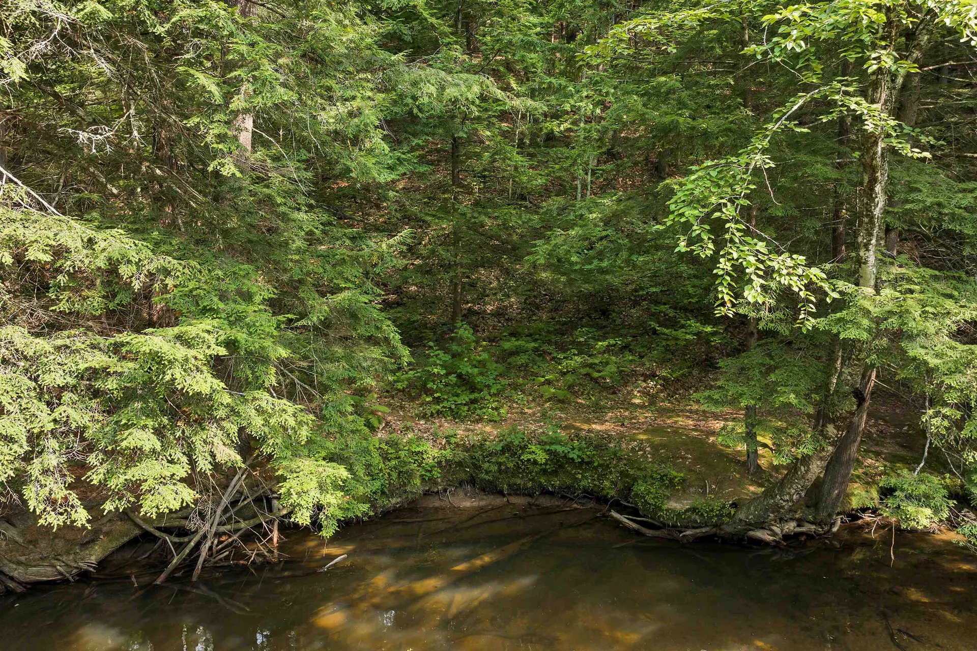479 River Road Bridgewater NH 03222