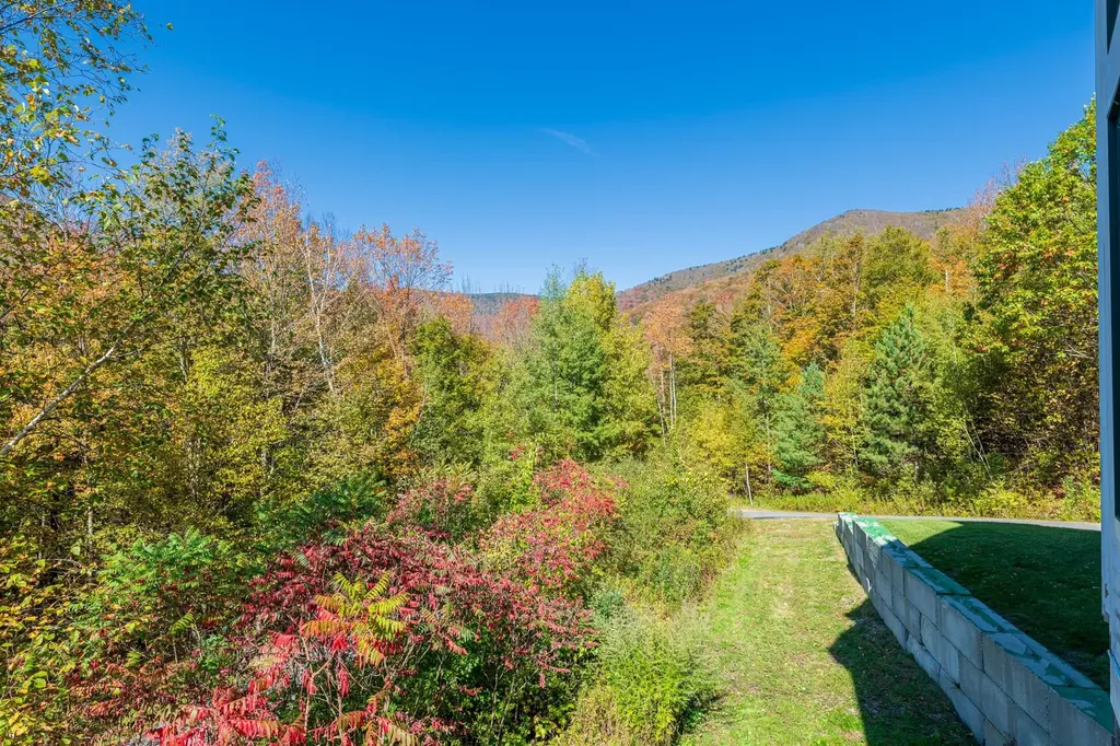 50 Grouse Lane Dorset VT 05251