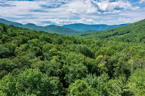 50 Grouse Lane Dorset VT 05251