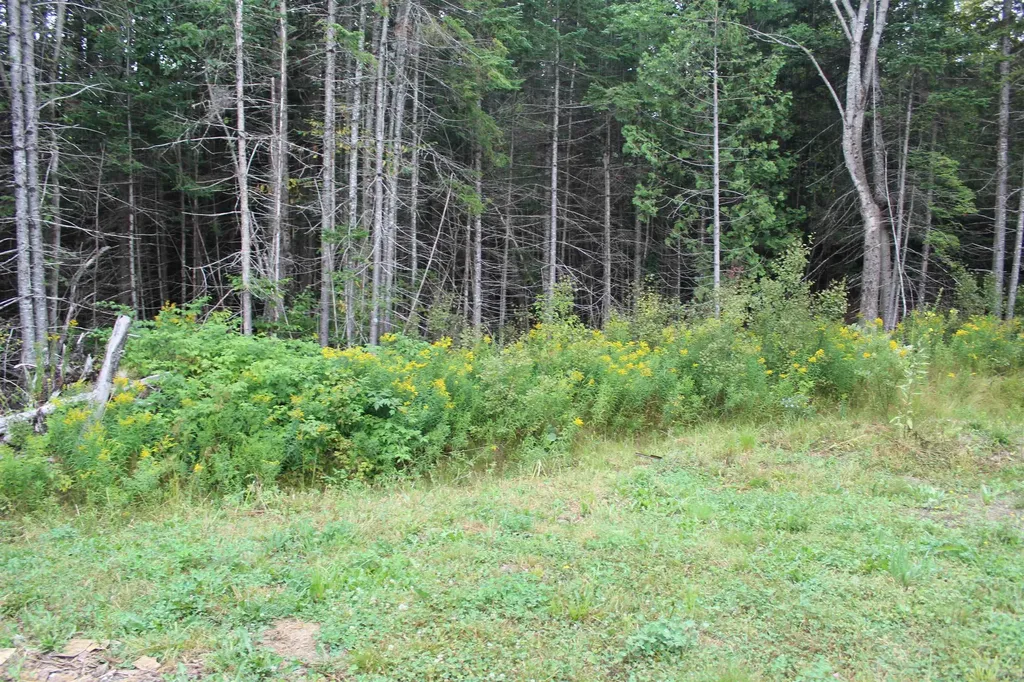 75 Heritage Road Stewartstown NH 03576