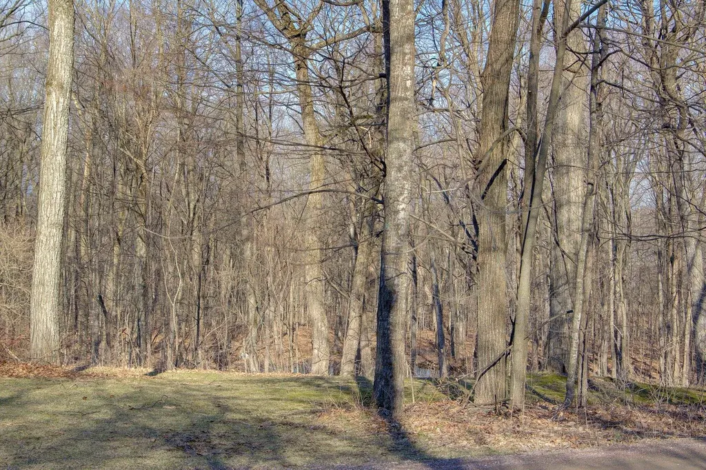47 Lovers Lane Grand Isle VT 05458