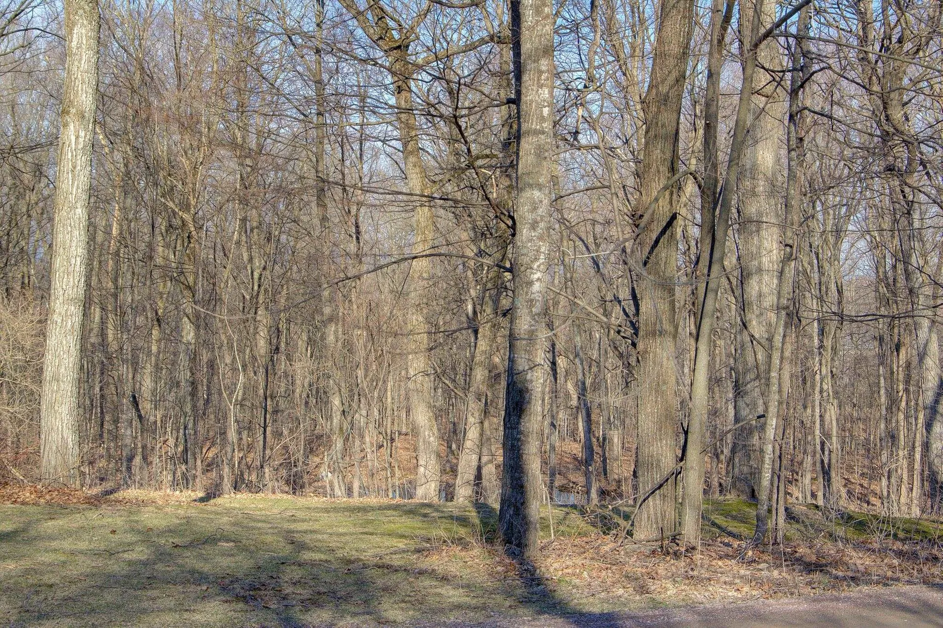47 Lovers Lane Grand Isle VT 05458