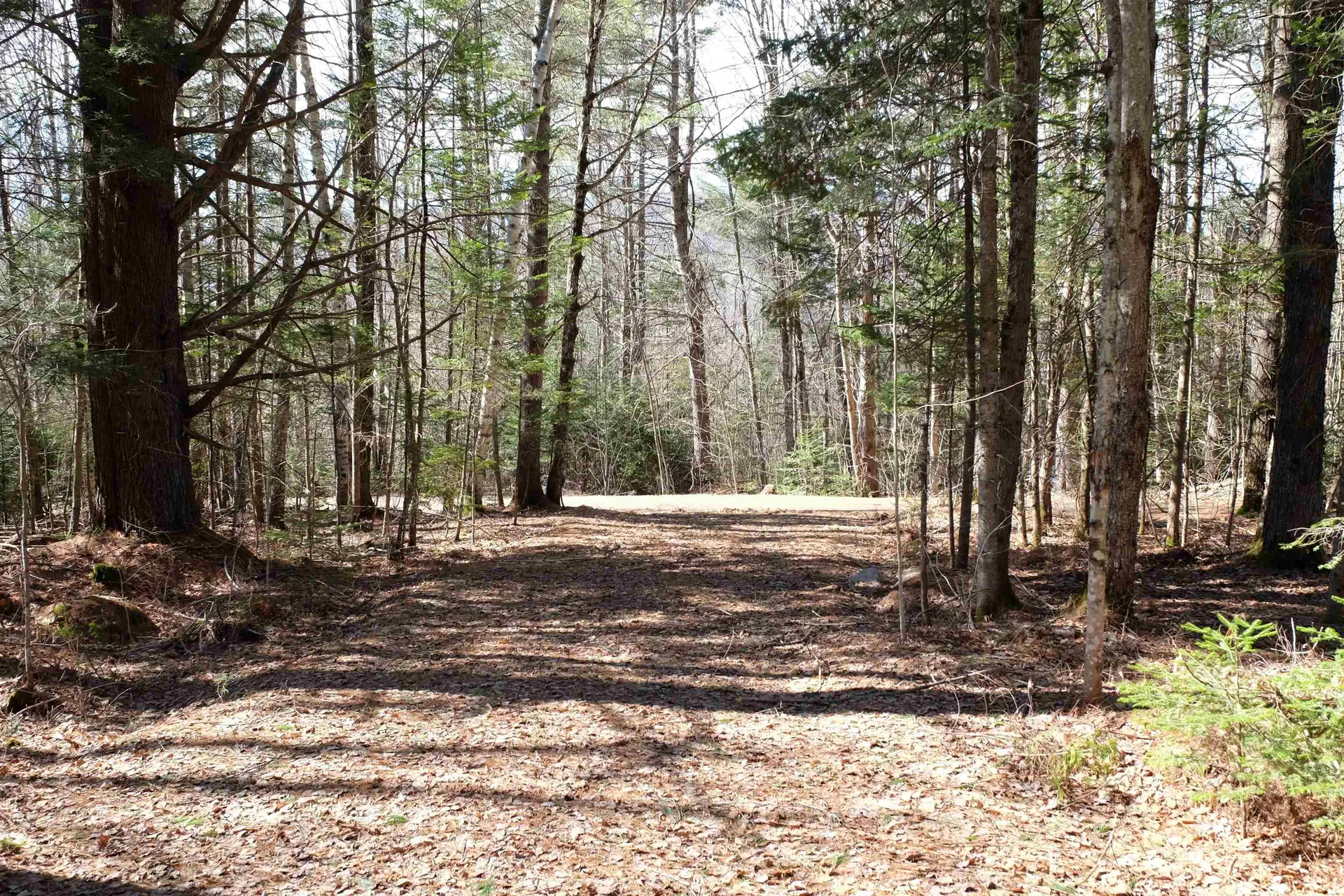 Cape Moonshine Road Piermont NH 03779