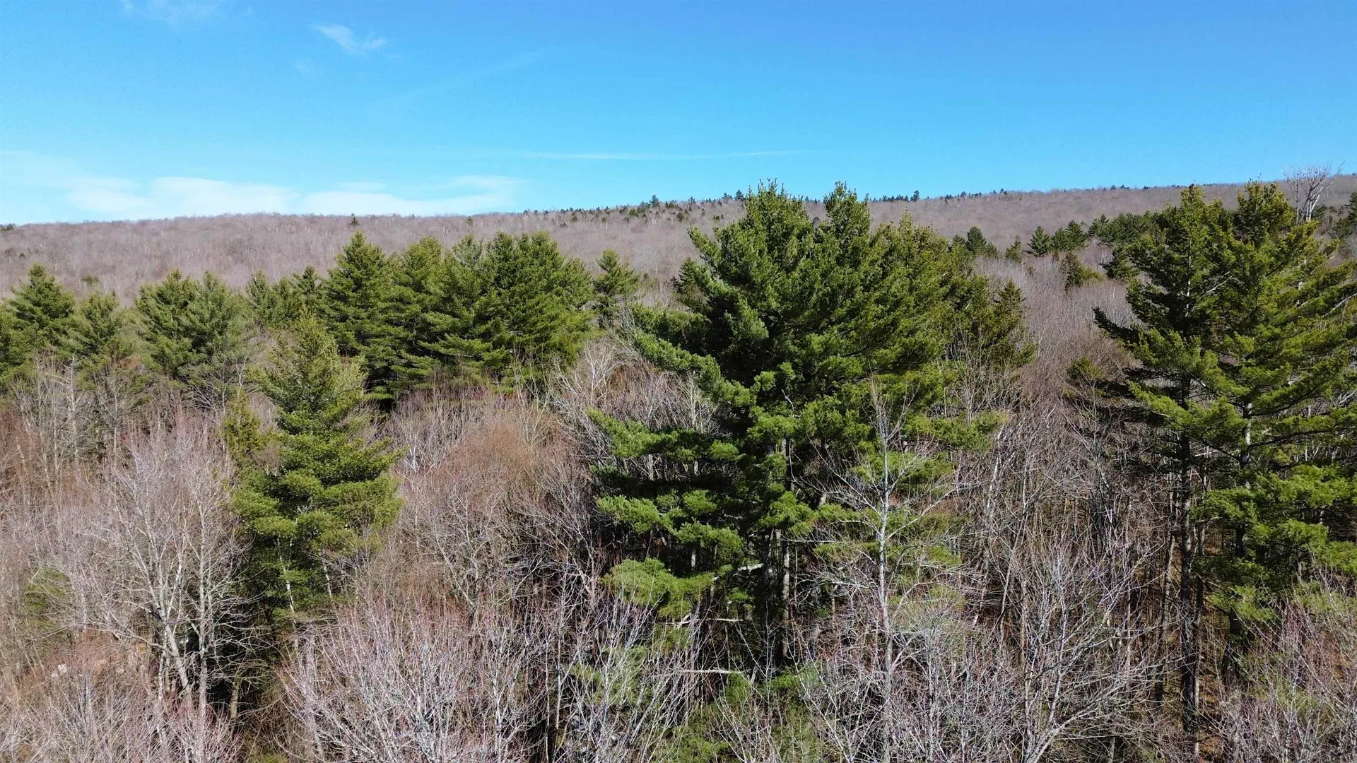 Cape Moonshine Road Piermont NH 03779