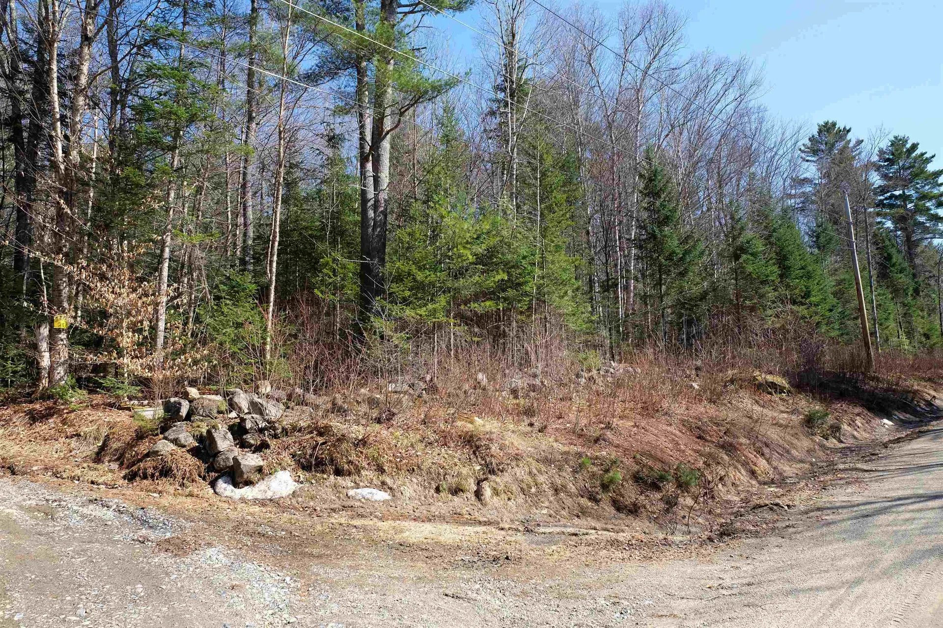 Cape Moonshine Road Piermont NH 03779