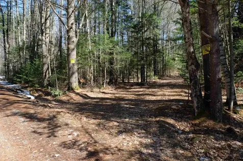 Cape Moonshine Road Piermont NH 03779