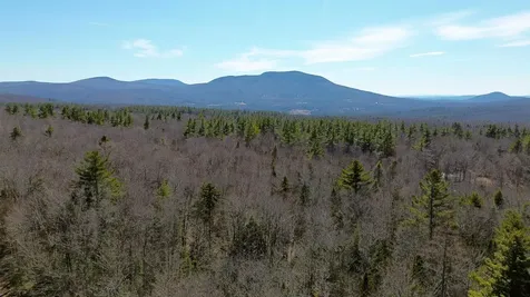 Cape Moonshine Road Piermont NH 03779