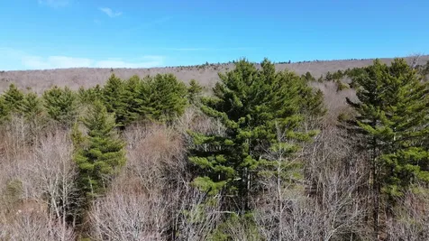 Cape Moonshine Road Piermont NH 03779