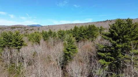 Cape Moonshine Road Piermont NH 03779