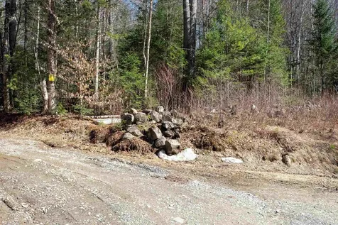 Cape Moonshine Road Piermont NH 03779