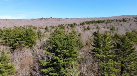 Cape Moonshine Road Piermont NH 03779