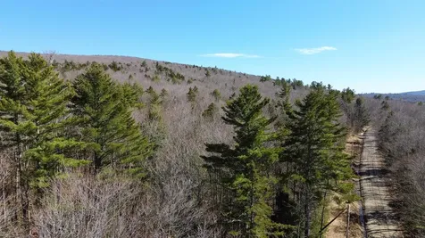 Cape Moonshine Road Piermont NH 03779