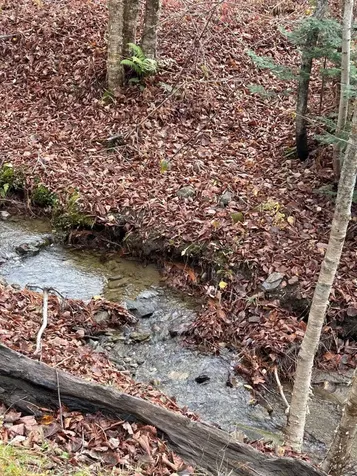 33 Williams Lane Wolcott VT 05680