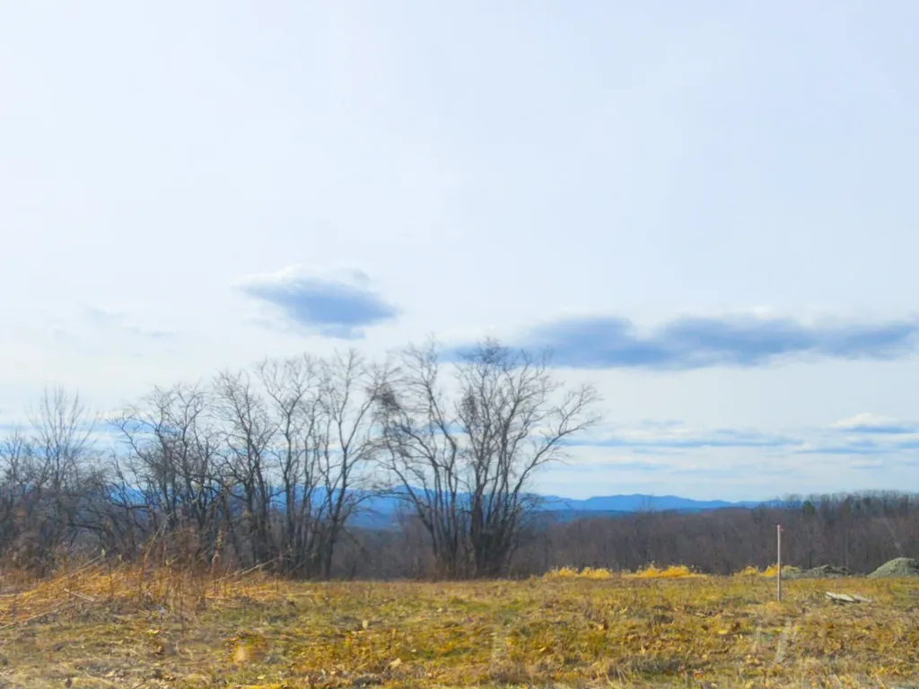 0 Applesauce Hill Road Castleton VT 05735