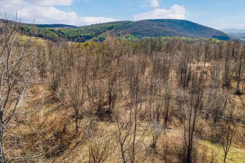 0 Applesauce Hill Road Castleton VT 05735