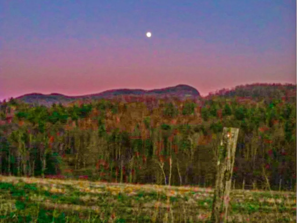 0 Applesauce Hill Road Castleton VT 05735