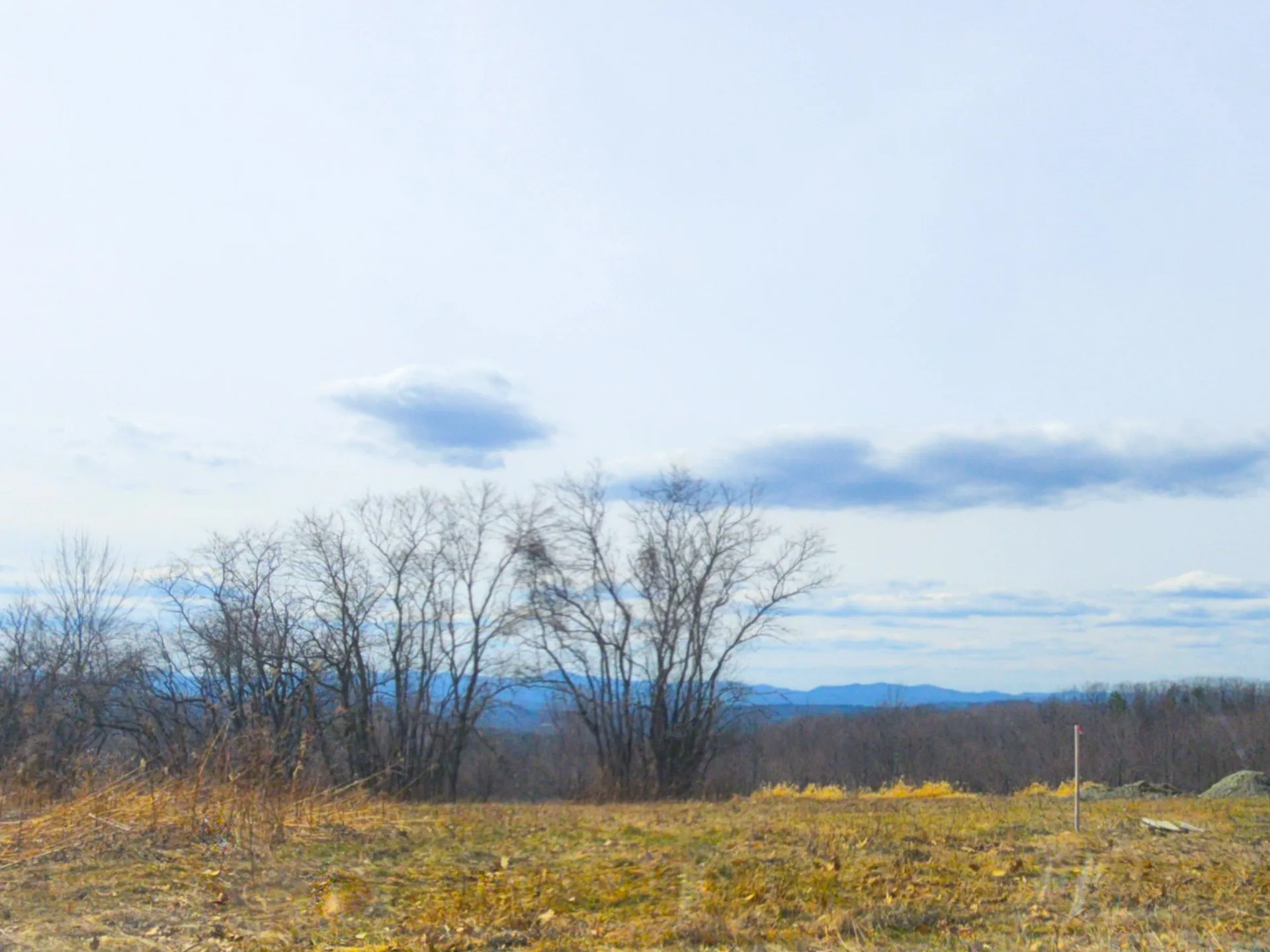 0 Applesauce Hill Road Castleton VT 05735
