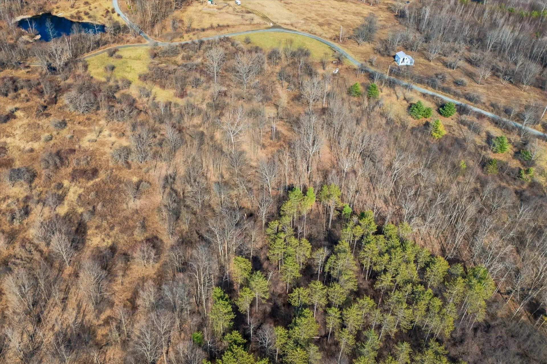 0 Applesauce Hill Road Castleton VT 05735