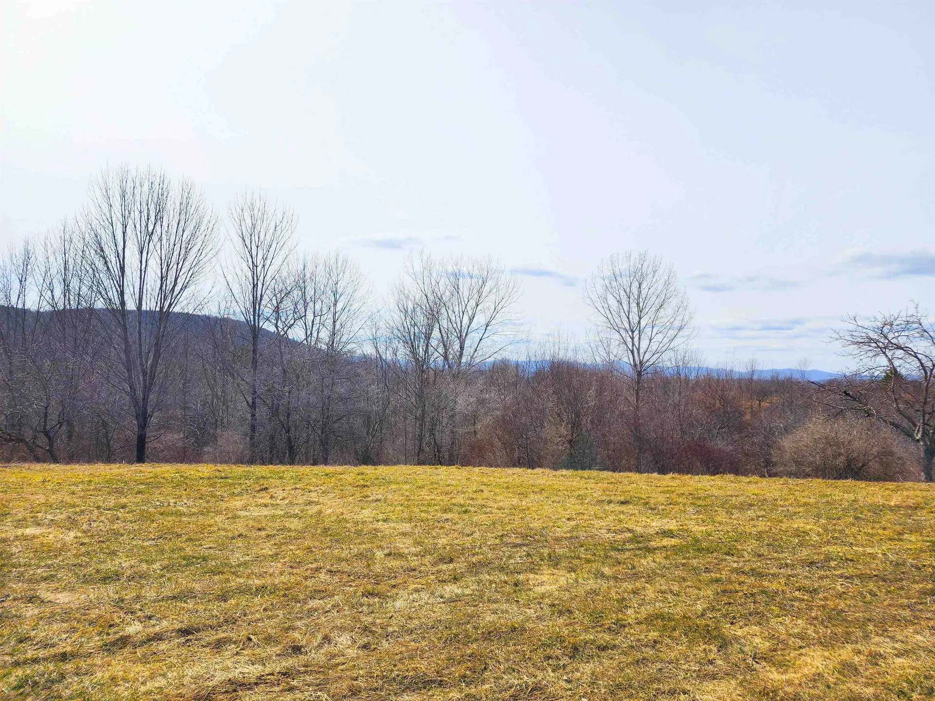 0 Applesauce Hill Road Castleton VT 05735