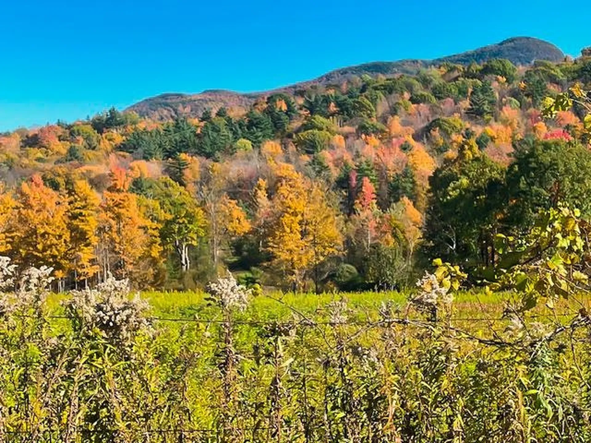 0 Applesauce Hill Road Castleton VT 05735