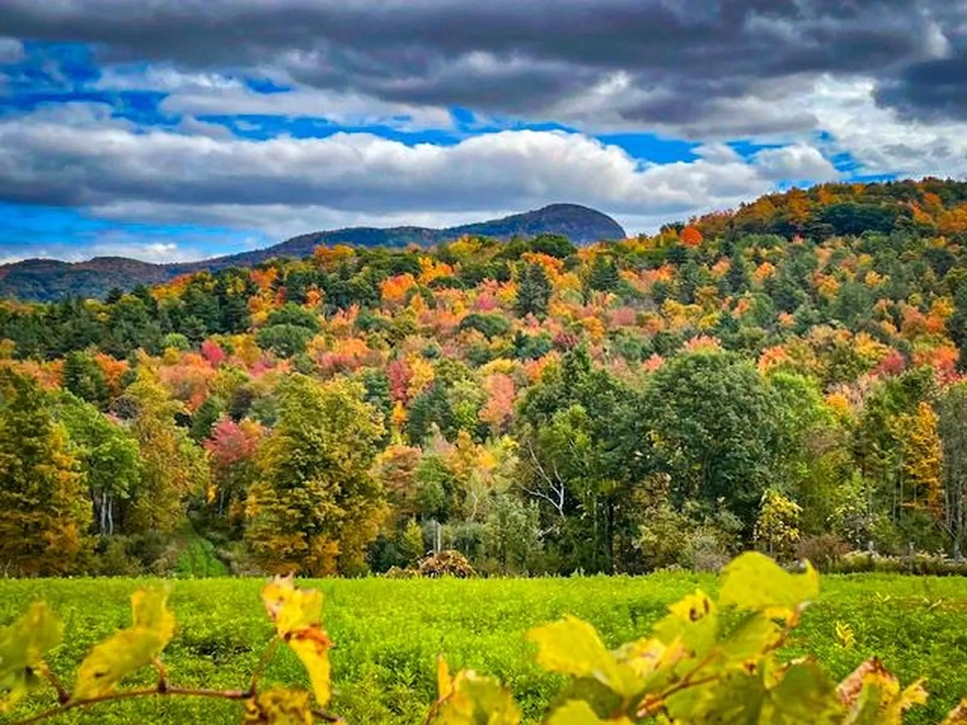 0 Applesauce Hill Road Castleton VT 05735