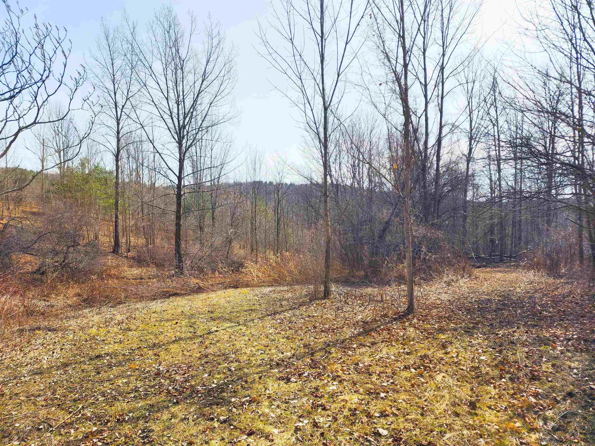 0 Applesauce Hill Road Castleton VT 05735