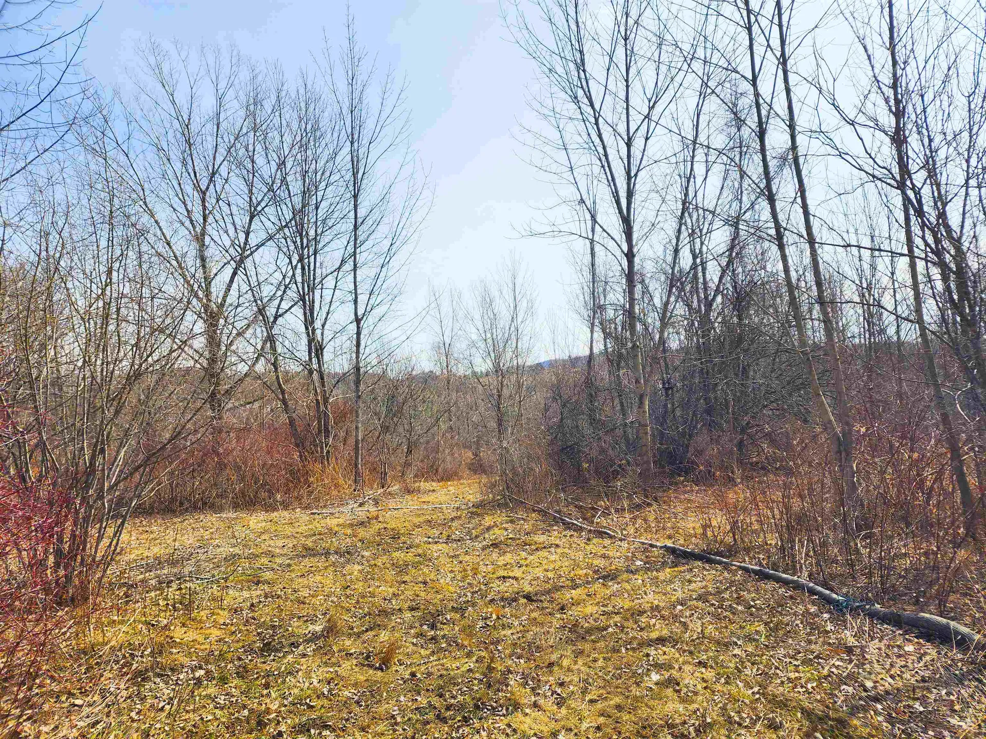 0 Applesauce Hill Road Castleton VT 05735