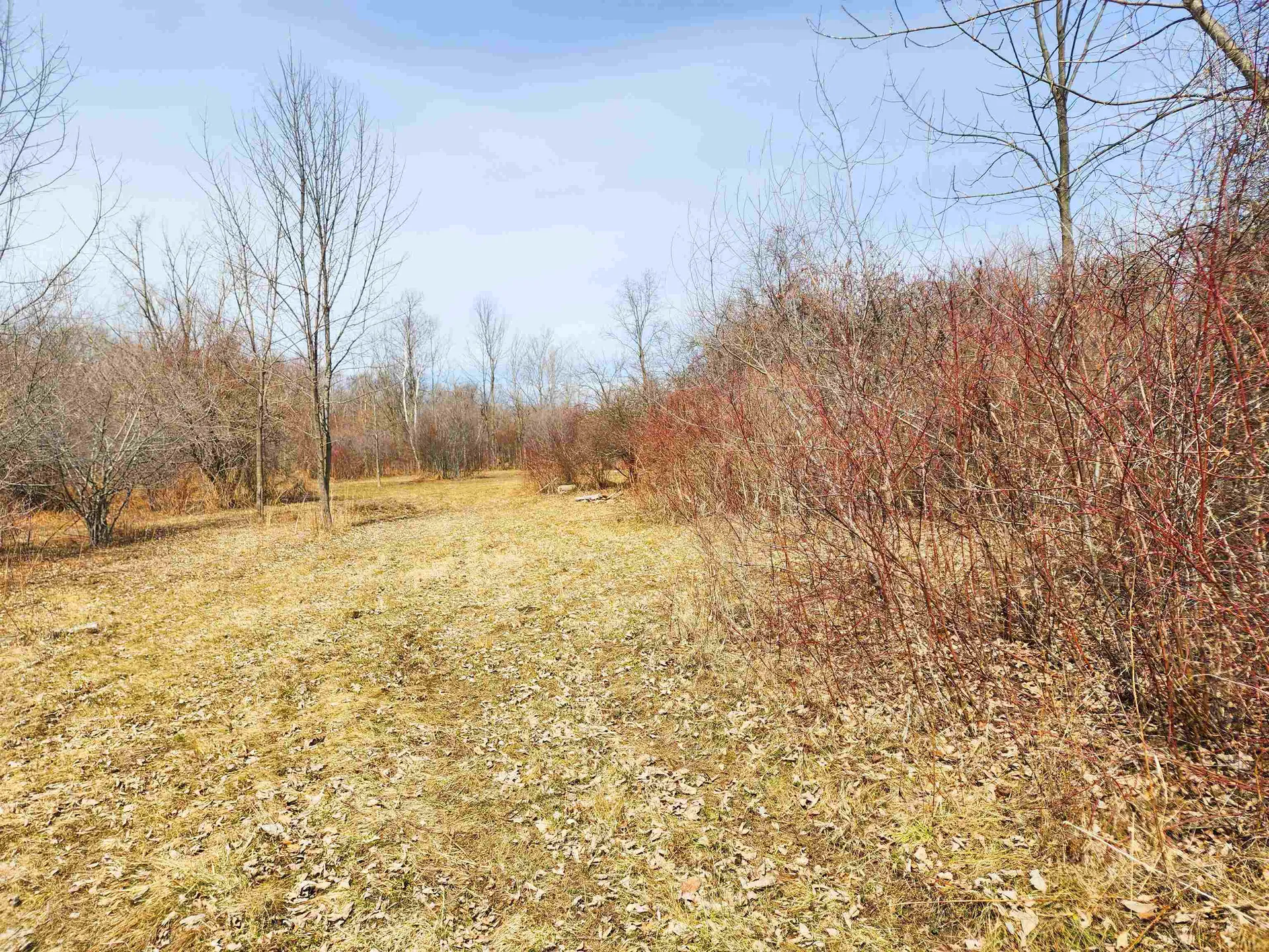 0 Applesauce Hill Road Castleton VT 05735