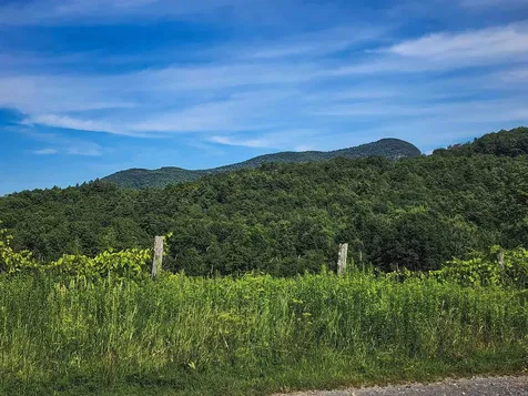 0 Applesauce Hill Road Castleton VT 05735