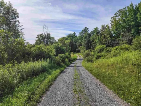 0 Applesauce Hill Road Castleton VT 05735