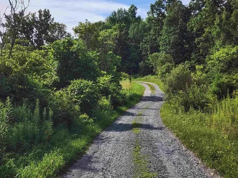 0 Applesauce Hill Road Castleton VT 05735