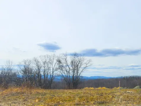 0 Applesauce Hill Road Castleton VT 05735