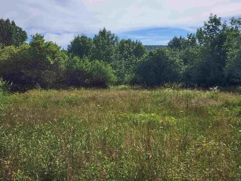 0 Applesauce Hill Road Castleton VT 05735