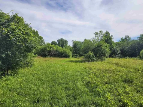 0 Applesauce Hill Road Castleton VT 05735