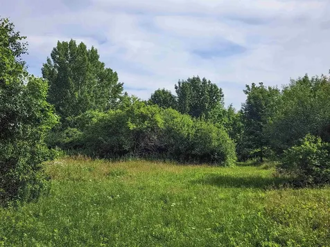 0 Applesauce Hill Road Castleton VT 05735