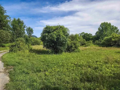0 Applesauce Hill Road Castleton VT 05735