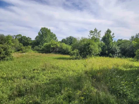 0 Applesauce Hill Road Castleton VT 05735